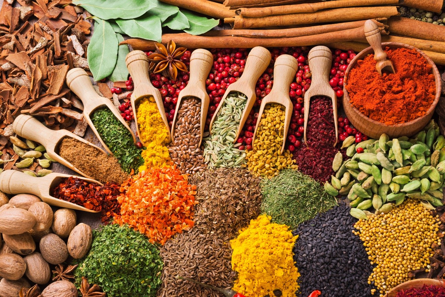 colorful composition with different spices and herbs